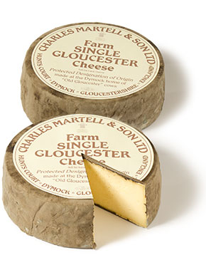 Single Gloucester