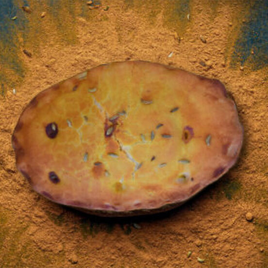 Chunk Spicy Jack Pie